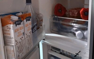 Nie mehr Ärger mit dem Wohnmobil Kühlschrank: 5 Gründe für einen Kompressor