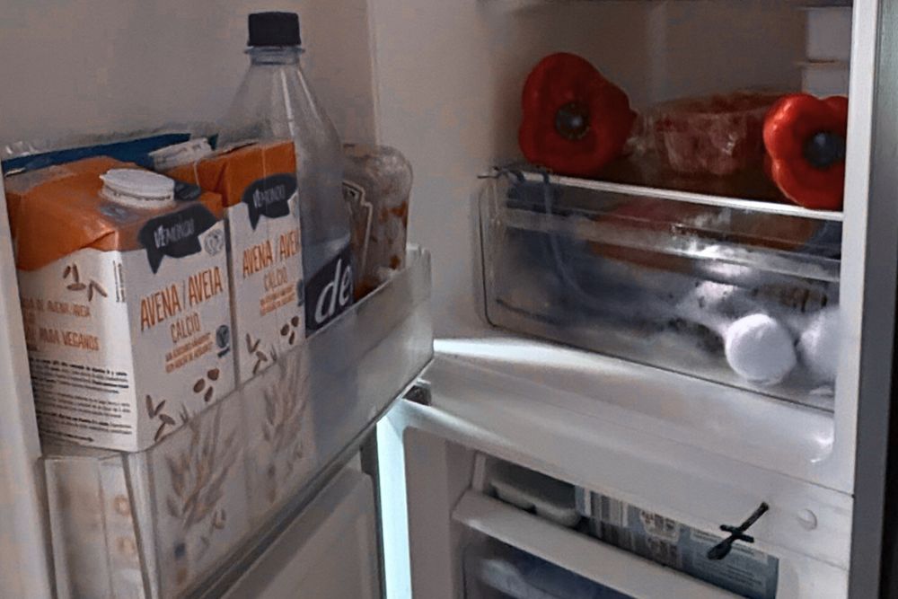 Wohnmobil Kühlschrank Kompressor von innen